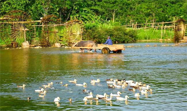 Pu Luong Natura Bungalow